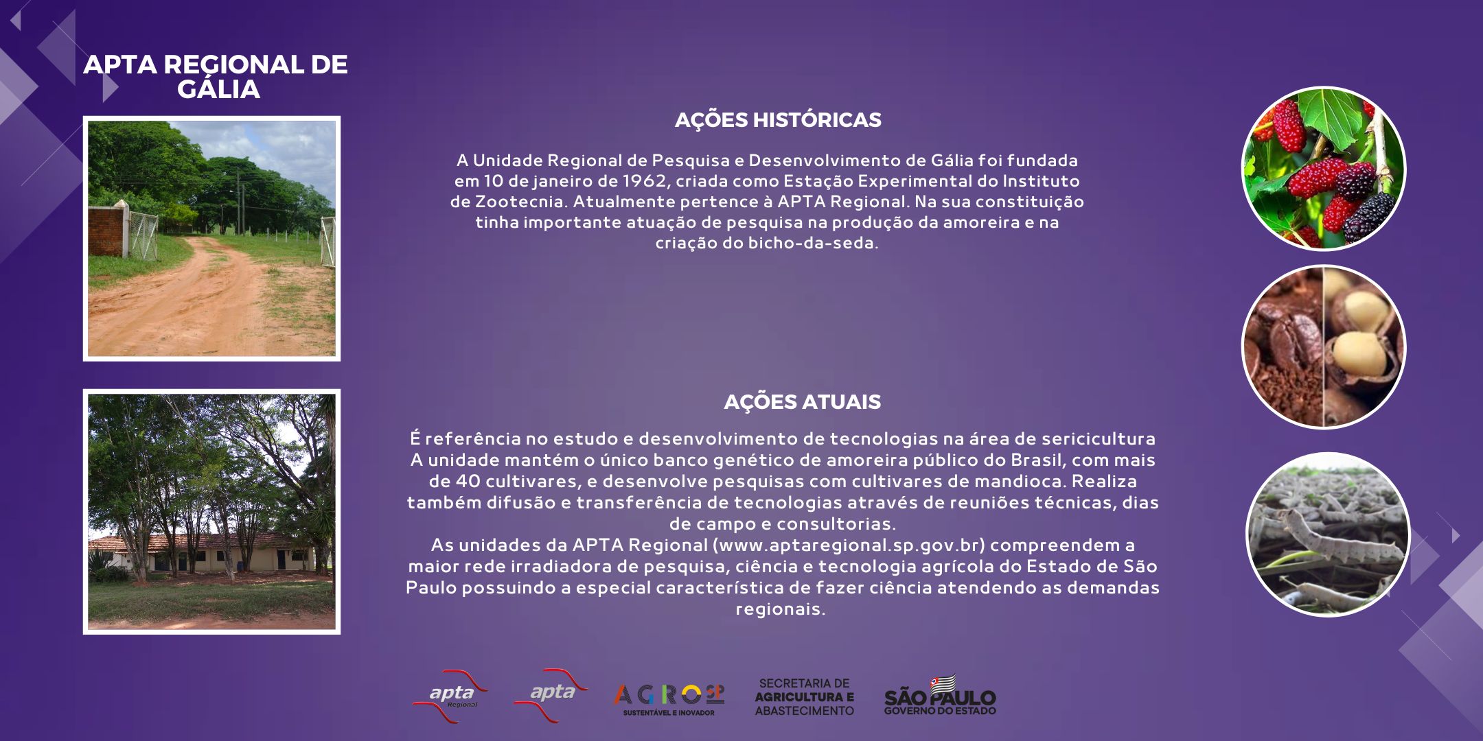 APTA REGIONAL DE GÁLIA